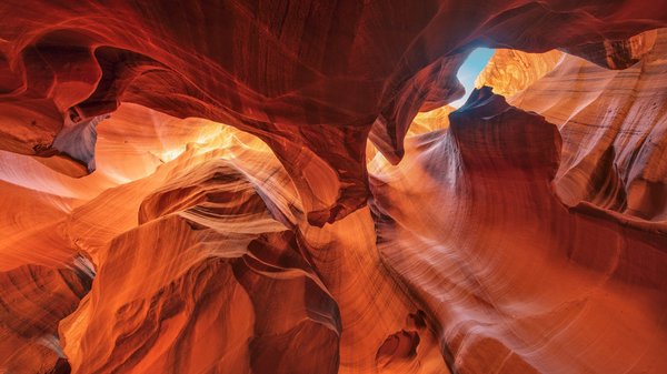 Créer un cfa : les étapes pour un projet gagnant en 2025